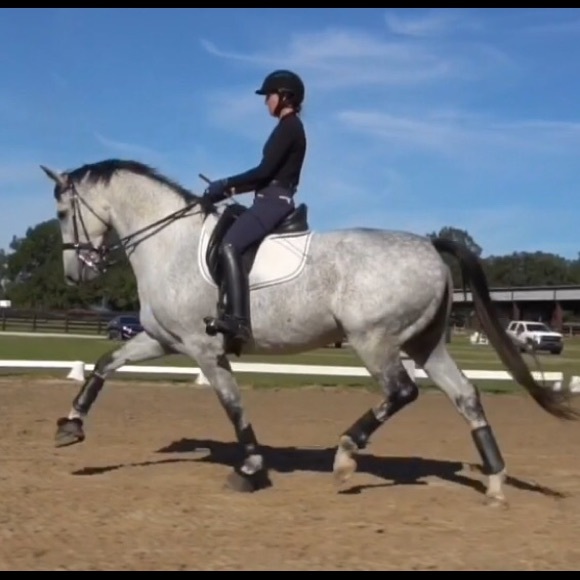 camdressage